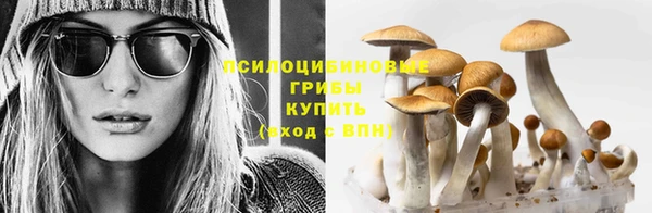 СК Верхнеуральск