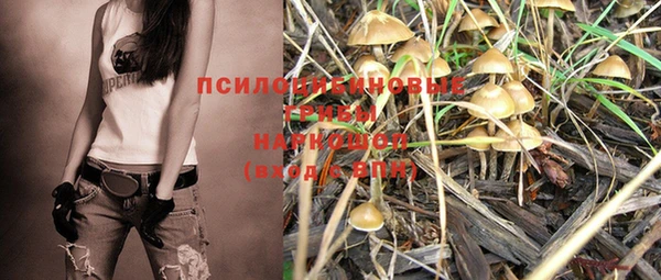 метадон Бородино