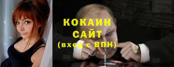 apvp Верея