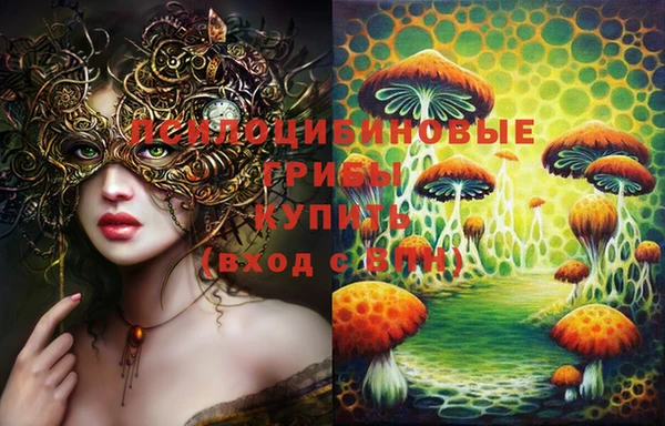 мет Бронницы