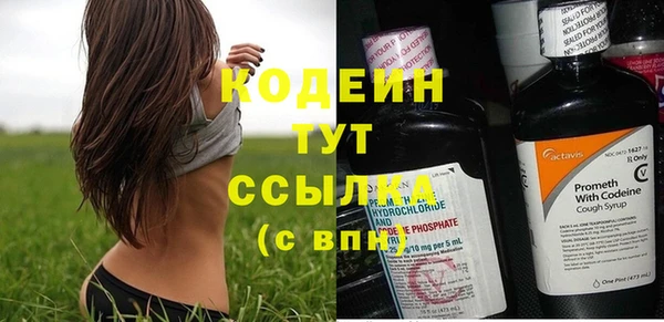 apvp Верея